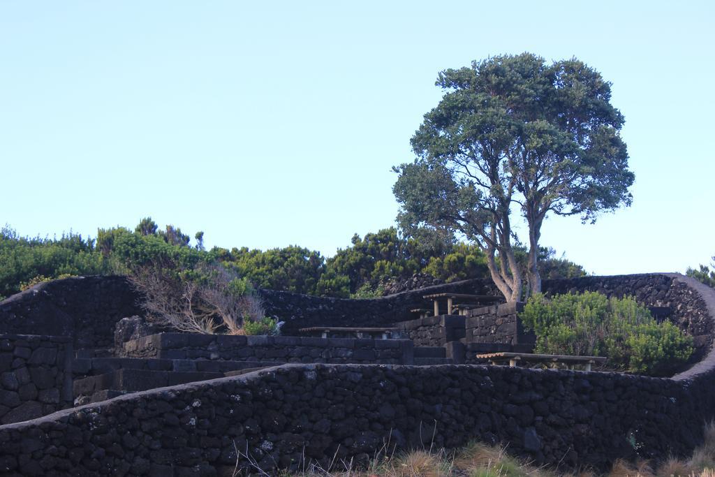 Adega Do Mirante Villa Sao Roque do Pico Bilik gambar
