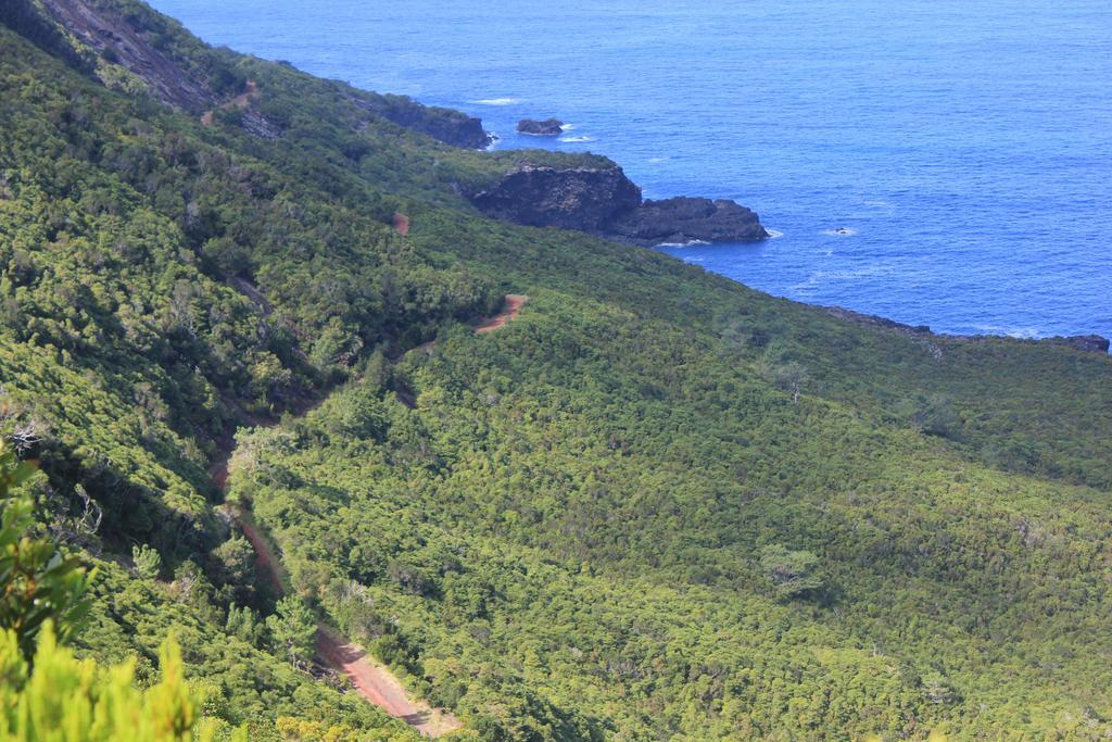 Adega Do Mirante Villa Sao Roque do Pico Bilik gambar